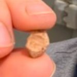 Atradums vēlreiz apliecina Bībeles vēsturisko precizitāti