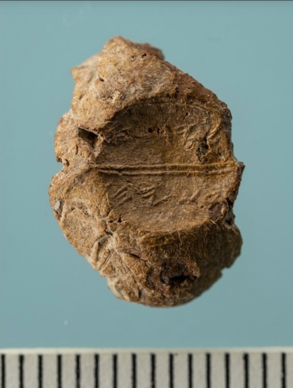 Atradums vēlreiz apliecina Bībeles vēsturisko precizitāti