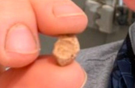 Atradums vēlreiz apliecina Bībeles vēsturisko precizitāti