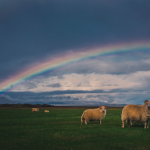 Dieva apsolījums uzturēt ticīgos