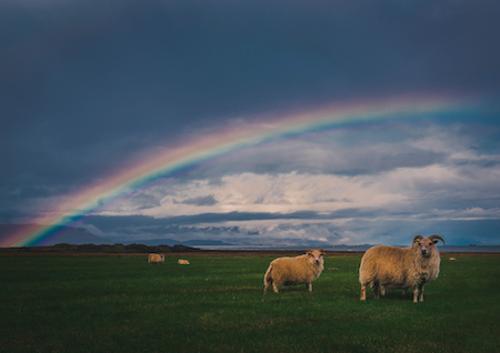 Dieva apsolījums uzturēt ticīgos