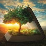 Iesakņoties dievišķā Vārda tīrajā mācībā