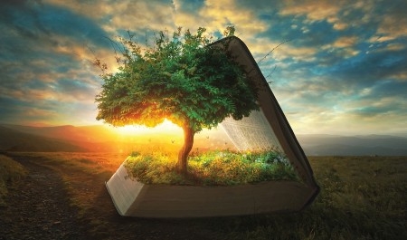 Iesakņoties dievišķā Vārda tīrajā mācībā