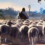 Kristum ir viens ganāms pulks