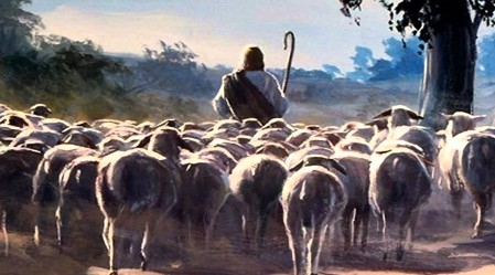 Kristum ir viens ganāms pulks